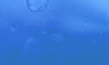 Oilfield Chemicals, USA 2026